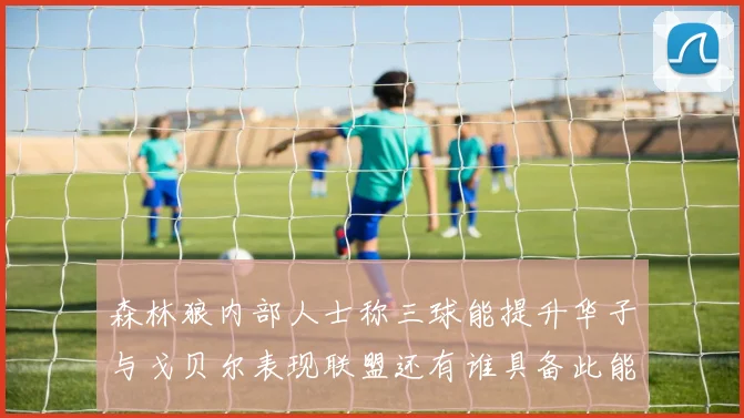 森林狼内部人士称三球能提升华子与戈贝尔表现联盟还有谁具备此能力