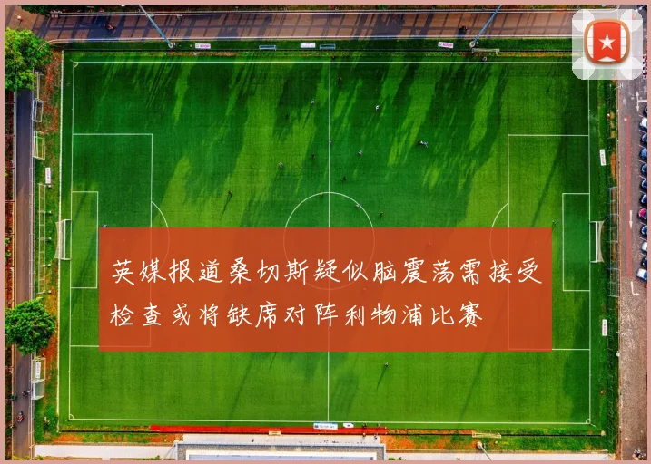 英媒报道桑切斯疑似脑震荡需接受检查或将缺席对阵利物浦比赛